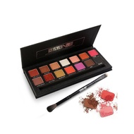 Professional 14 Colors Matte Electric Pro Eyeshadow Palette
