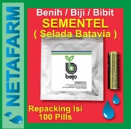 Benih / Biji / Bibit BEJO ANIZEL Selada Batavia - Kemasan 1 Gram