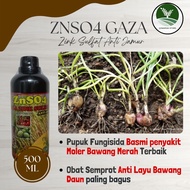 Obat Moler Daun Bawang - Obat bawang merah anti moler - Obat moler untuk bawang merah - Fungisida mo