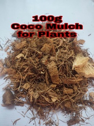 100g (Coco Mulch)for Plants Pampataba sa Halaman,maganda para sa halaman lalu na pag tag-init.