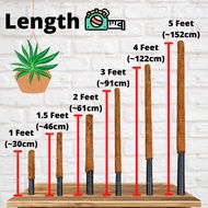 Coco Stick For Climbing Plant Batang Sabut Kelapa Coco Fiber Pole Plant Support Tiang Sabut Untuk Po