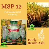 Sale Benih / Bibit Padi Msp 13 / Sertani 13 Lokal Lampung