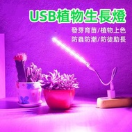 其他品牌 - USB植物生長燈連 補光燈 多肉植物防徒助長生長燈 防蟲防潮 (連USB電源管)