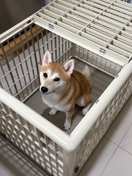IRIS 810室內小型狗中型犬狗籠