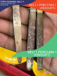 Koleksi Duri Landak Laut Besar Dan Tua #SukarDiperolehi💯 ASLI