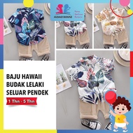 Summer Boys Set Kids Wear Hawaiian Shirt Kids Baju Hawaii Budak Lelaki Baju Budak Set Kids Suit Baby