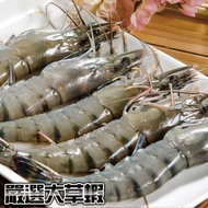 嚴選活凍黑虎大草蝦5尾裝5盒(免運) 加贈白腹魚菲力300g共1包