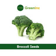 Broccoli Seeds (西兰花) Vegetable Seeds from SG