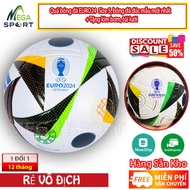 EURO24 Size 5 soccer ball, latest model molded soccer ball BH 12T