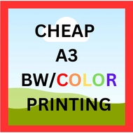 [Printing Service] A3 Black & White / Colour Print