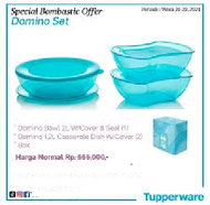 Tupperware Domino Set