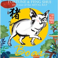 2020 FORTUNE &amp; FENG SHUI Astrology Book for Pig
