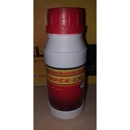 Penggalak Akar Foodie Super B1