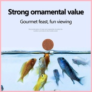 ◨ ❏ Fish Food high protein Goldfish Food Pellets Color Enhancing Fish Food Discus Fish Food