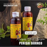 [SG INSTOCKS ✨] Minyak Urut Dayak Kalimantan Original