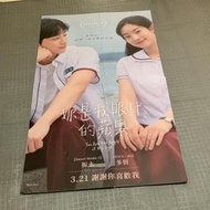妳是我眼中的蘋果，twice,多賢，振永，大型電影帆布，大約寬兩公尺，長三公尺，韓國版，那些年,我們一起追的女孩.