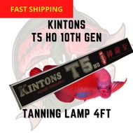 [READY STOCK] Kintons T5 HO Arowana Tanning Light 4ft 54w