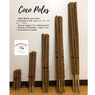Bamboo-based Coco pole, cocopole, Plant pole, Plant support, Plant stick, Bolo-based coco poles