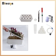 Hydroponic System Growing Kit with Air Pump 11 Holes Soilless Cultivation Planting Grow Box for Herb