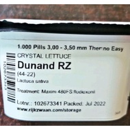 DUNAND RZ CRYSTAL LETTUCE seeds LIKE LALIQUE (1000 pills) RIJK ZWAAN
