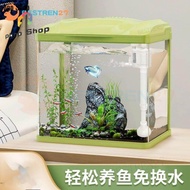 PBnP Shop Matcha Green Desktop Mini Glass Aquarium - Perfect for Small Living Spaces - Easy to Set Up and Maintain