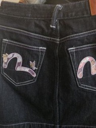 EViSU