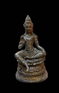 澤度金 龍耐 2550