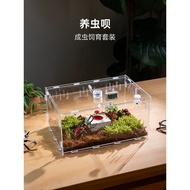 Beetle Breeding Box Transparent Acrylic Reptile Insect Box Unicorn Larvae Snail Breeding Set