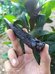 Pipa Once Akar Bahar Hitam Ukir Macan