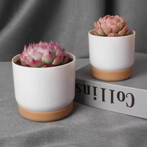 Succulent Plant Pot Double-layer Succulent Green Dill Small Green PlantFlowerpot