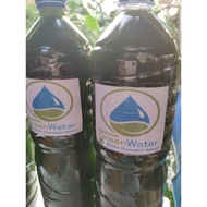 Green Water Feed For Daphnia Magna And Water / Green Water