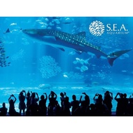 Sea aquarium