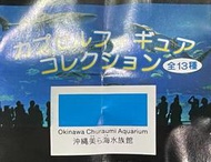 沖繩 美麗海水族館   全新扭蛋 現貨 轉蛋