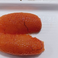 Telor Ikan Sembilang