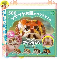 ♧Overflowing Crazy Gacha♧ IKIMON Capsule Toy Capsule Toy NTC Cuckoo Cuckoo Short-Headed Frog Frog Pe