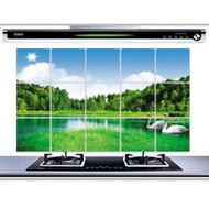 Tl201 LAKE KITCHEN STICKER KITCHEN STICKER 45X75 WATERPROOF OILPROOF WATERPROOF HEAT RESISTANT SAFE 