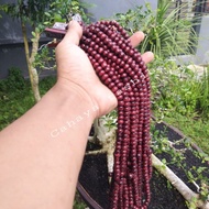 Bisa COD Tasbih Kayu Wali Kukun 99 Butir Oleh-Oleh Ibadah Haji / Umroh dan Souvenir Pernikahan