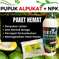 Pupuk Alpukat Pemanis Buah, Paket Pupuk NPK Penguat Batang Alpukat