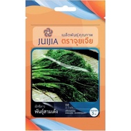 🌱Ready Stock 🌱Dill Seeds / Benih Dill / Juijia