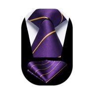 HISDERN Stripe Tie Mens Ties with Pocket Square Set Classic 3.4'' Silk Formal Necktie Handkerchief f