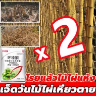 กำจัดต้นไม้และไผ่ให้หมดจด สารกำจัดก่อไผ่ ยากำจัดต้นไม้ 500g สูตรเข้มข้น กำจัดวัชพืชรากเน่า ผลติดทนนา