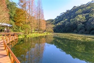 宜蘭旅遊｜浪漫甜點午茶列車－海風號｜動植物秘境天堂『福山植物園』.礁溪晶泉丰旅二日｜好享住奢華｜台中出發