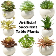 Artificial Succulent Mini Fake Succulent Plants Table Plant Home Office Decor Faux Succulent Withpot