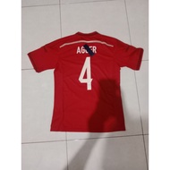 Denmark jersey