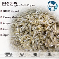 1kg Ikan Bilis Mata Biru Kopek / Ikan Bilis Gred 3A Rangup Lembut Ikan Bilis Gred 5A Garing 已剥江鱼仔