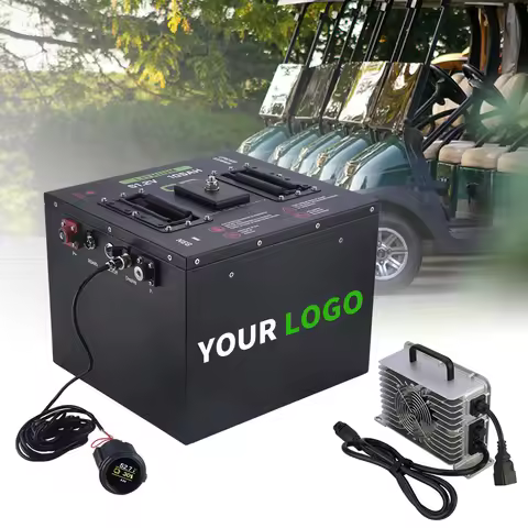 Mini Lithium Golf Cart Battery 48v 100ah 200ah Lifepo4 Golf Cart Battery 48 Volt 72ah 105ah 160ah El