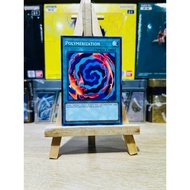 DI01-AE015 - Polymerization - Common