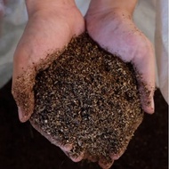 KASGOT Ready to Use 500gr 5 ounces