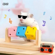 CEASI Hamster Roller, Boredom Relief Magic Cube Shaped Animal Chewing Toy, Colorful Interactive Wood
