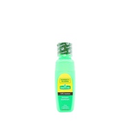 Green Cross Green 70 Isopropyl Alcohol 75 ml